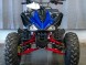 Квадроцикл Bison 1000 Electro sport (14915546364111)
