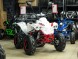 Квадроцикл бензиновый MOTAX ATV Raptor LUX 125 сс (14779365381158)