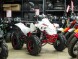 Квадроцикл бензиновый MOTAX ATV Raptor LUX 125 сс (14779365396673)