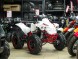 Квадроцикл бензиновый MOTAX ATV Raptor LUX 125 сс (14779365403112)