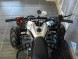 Квадроцикл бензиновый MOTAX ATV    T-Rex LUX 125 cc (1491554668735)