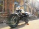 Мотоцикл STELS ДЕСНА 220 Фантом (14110301549059)