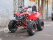 Квадроцикл Bison 125 Super Sport (1411042976143)