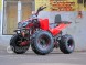 Квадроцикл Bison 125 Super Sport (14110429924357)