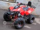 Квадроцикл Bison 125 Super Sport (14110429928341)
