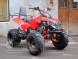 Квадроцикл Bison 125 Super Sport (14110430079221)