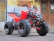 Квадроцикл Bison 125 Super Sport (14110430080273)