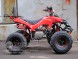 Квадроцикл Bison 125 Super Sport (14110430147027)