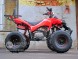 Квадроцикл Bison 125 Super Sport (14110430149433)