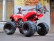 Квадроцикл Bison 125 Super Sport (14110430164859)