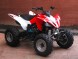 Bison ATV 200 S NEW (15238945656572)