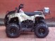 Квадроцикл Bison ATV 110 Rider 2018 (1533316033513)