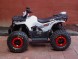 Квадроцикл Bison ATV 125 Wild 2018 (15333160454552)