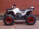 Квадроцикл Bison ATV 125 Wild 2018 (15333160461592)