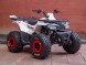 Квадроцикл Bison ATV 125 Wild 2018 (1533316052888)