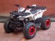 Квадроцикл Bison ATV 125 Wild 2018 (1533316054583)
