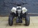 Детский квадроцикл бензиновый Motax GEKKON 50cc (15348339793521)