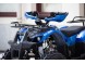 Квадроцикл Motoland FOX 125 (16161526855037)
