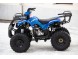 Квадроцикл Motoland FOX 125 (16161526864249)
