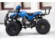 Квадроцикл Motoland FOX 125 (16161526865164)