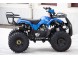Квадроцикл Motoland FOX 125 (1616152690075)