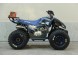 Квадроцикл Motoland COYOTE 125 (15916423156085)