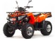 Квадроцикл Motoland MAX 200 (15460845963391)