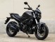 Мотоцикл Bajaj Dominar 400 NEW DTS-I (2019) (15628581388237)