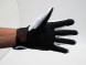 Перчатки Alpine Stars Gloves 10 Black/White (15642045154975)