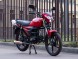 Мотоцикл Alpha SX 50 (110) (163783850055)