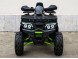 Квадроцикл Motoland WILD TRACK LUX 200 (15847301481515)