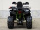 Квадроцикл Motoland WILD TRACK LUX 200 (15847301558305)