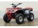 Квадроцикл IRBIS ATV 250U NEW 2020 с ПСМ (15911833499831)