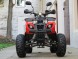 Квадроцикл Universal ATV 125 TM Classic (16297313923736)