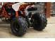 Квадроцикл бензиновый MOTAX ATV T-Rex  LUX 125 cc NEW (16118460686149)
