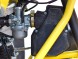 Квадроцикл IRBIS ATV125 NEW 2021 (16208067456576)