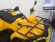 Квадроцикл IRBIS ATV200 NEW 2021 с ПСМ (16354937258162)