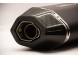 Глушитель для BMW R1200GS16 HAWK, нерж. сталь карбоновая защита REMUS (16406981368067)