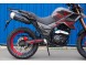 Мотоцикл Fuego Tekken 250 (16516653384129)