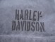 Рубашка Harley-Davidson 96149-16VM короткий рукав (16503853764118)