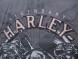 Рубашка Harley-Davidson 96401-14VM короткий рукав (16503819989523)