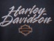 Толстовка женская с капюшоном Harley Davidson 5292-476D (16506392182183)
