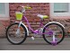 Велосипед AIST Skye 20 (16529440592741)