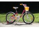 Велосипед AIST Skye 20 (16553772877356)