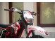 Мотоцикл PROGASI SUPER MAX 250 (16597072243531)