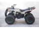Квадроцикл Universal AVENGER EVO ATV 140 (16583097327635)