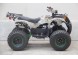 Квадроцикл Universal AVENGER EVO ATV 140 (16583097403809)