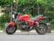 Мотоцикл Desert Raven NEVADA 250 (14109548634762)