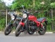 Мотоцикл Desert Raven NEVADA 250 (1410954863757)