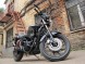 Мотоцикл Desert Raven NEVADA 250 (14109548794049)